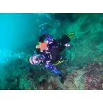 Курс дайвинга OWD Open Water Diver Тюмень